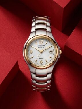 Citizen Eco-Drive Two-Tone Women's Watch White Dial Date WR 100 Working